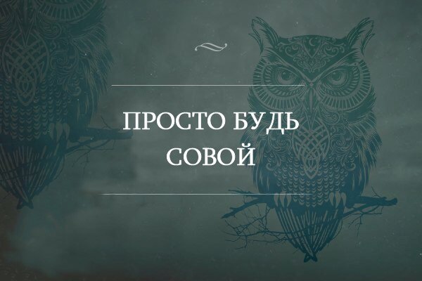 Суть проста. Цитаты про сов. Афоризмы про сову. Высказывания про сову. Афоризмы про совушек.