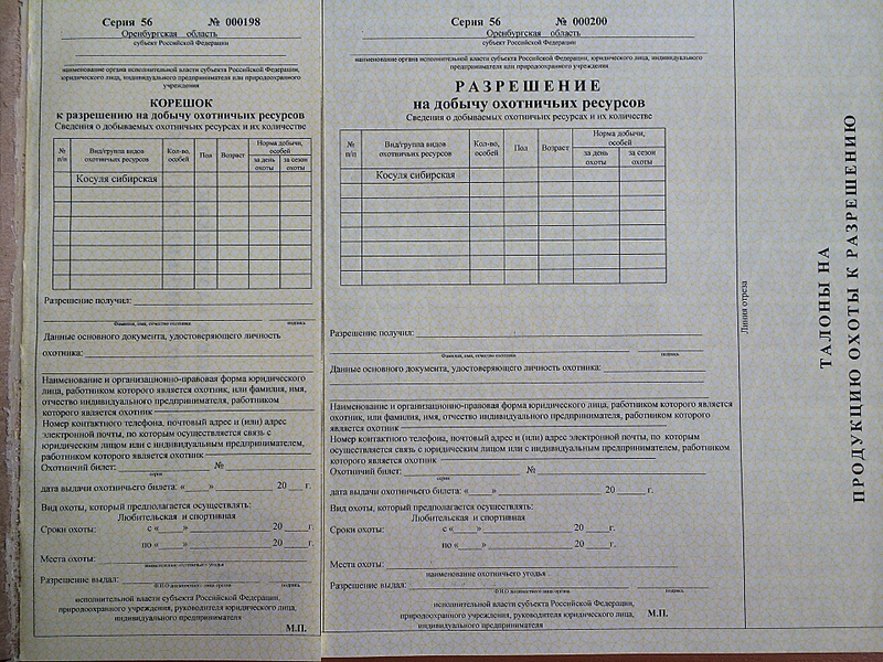 Образец заполнения охотничьей путевки