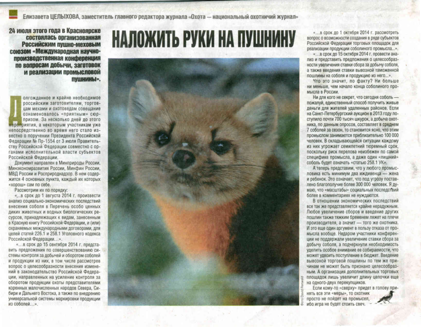 Перечень особо ценных диких животных. Перечень особо ценных диких животных. Таёжный волк. Дикие животные список. Перечень особо ценных диких животных.