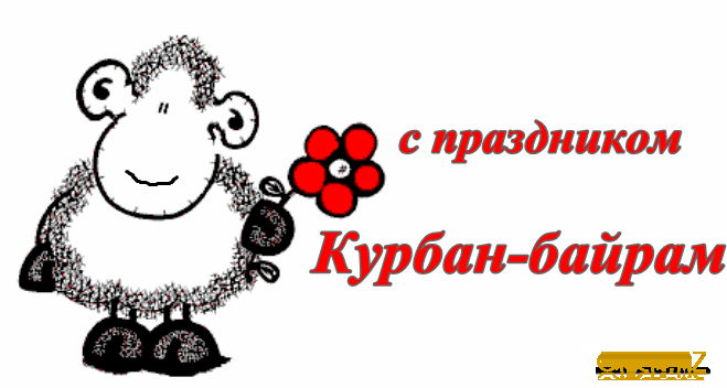 Стишки для, прикольные картинки на курбан байрам