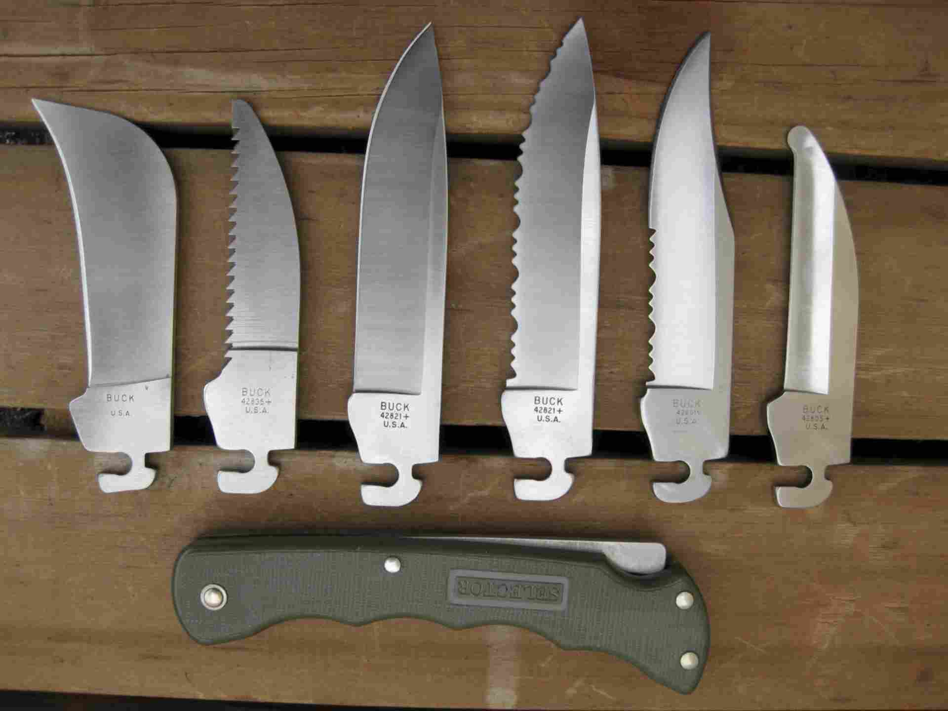 Виды ножевых. Buck 009 нож охотничий. Формы лезвий ножей. Форма лезвия складных ножей. Формы клинков для ножей.