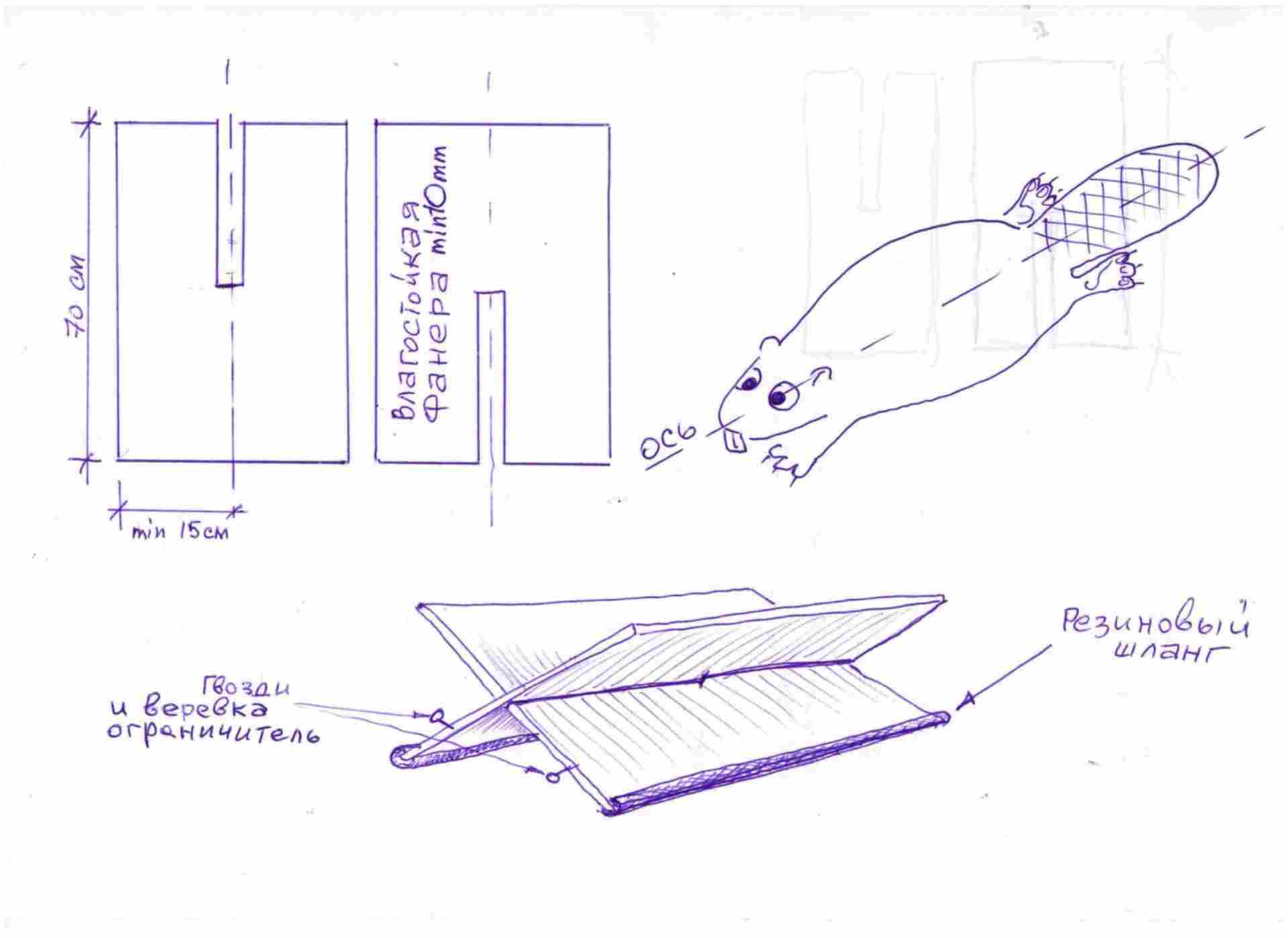 Схема бобра. Бобёр чертёж. Поделка Бобр. Чертежи на капканы на бобра как сделать.