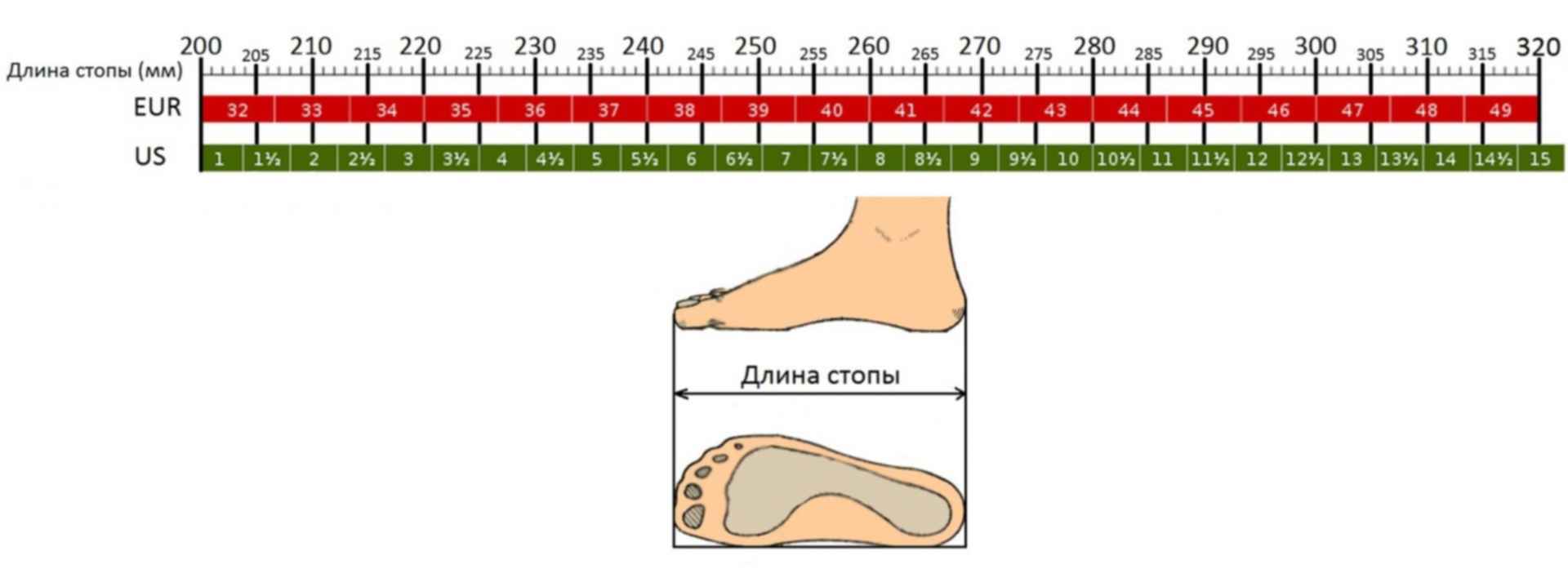 11 Размер длина стопы