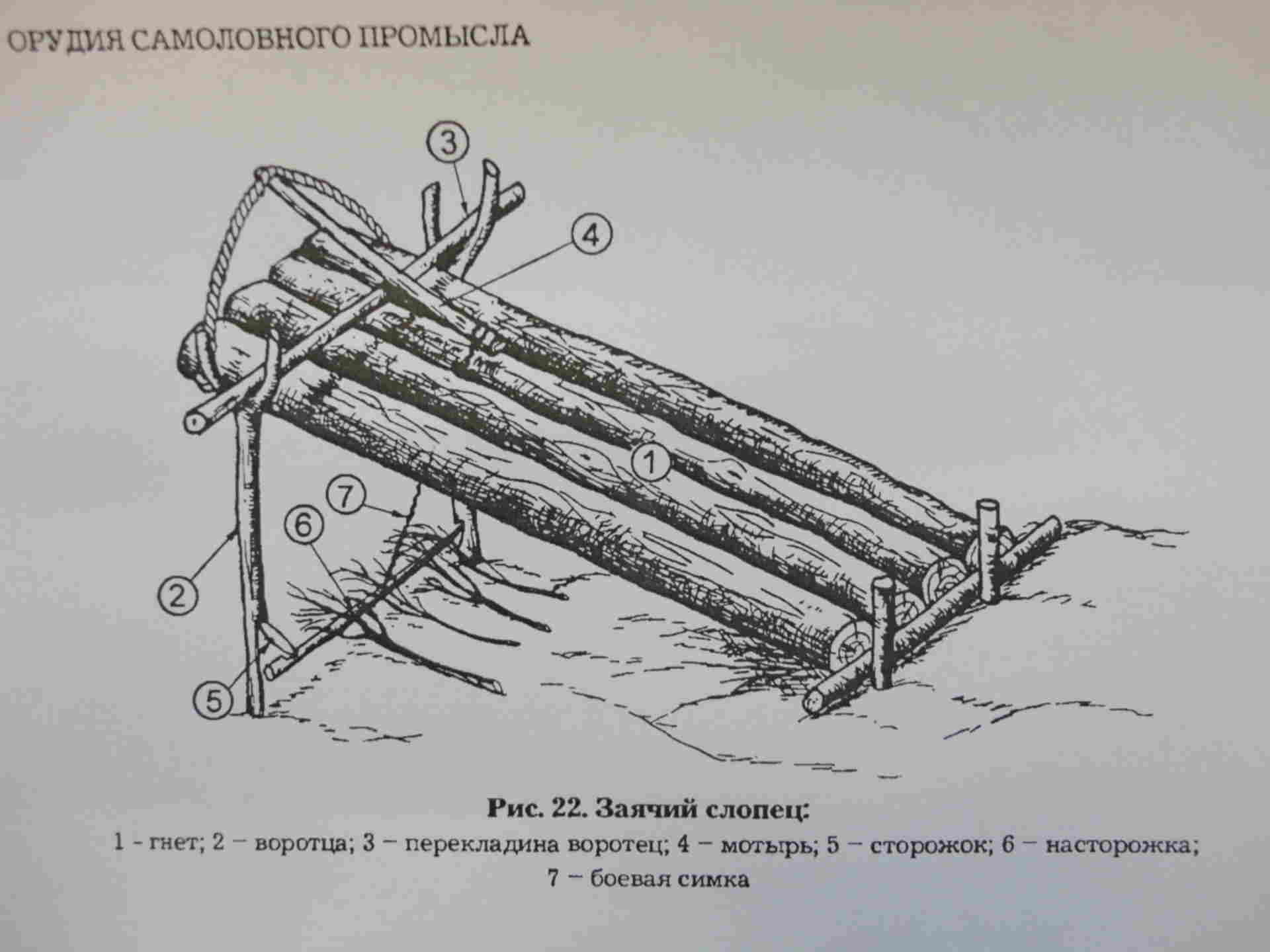 Ловушка табунщика. Самолов кулемка. Самоловы для охоты. Слопец ЛОВУШКА. ЛОВУШКА на глухаря.