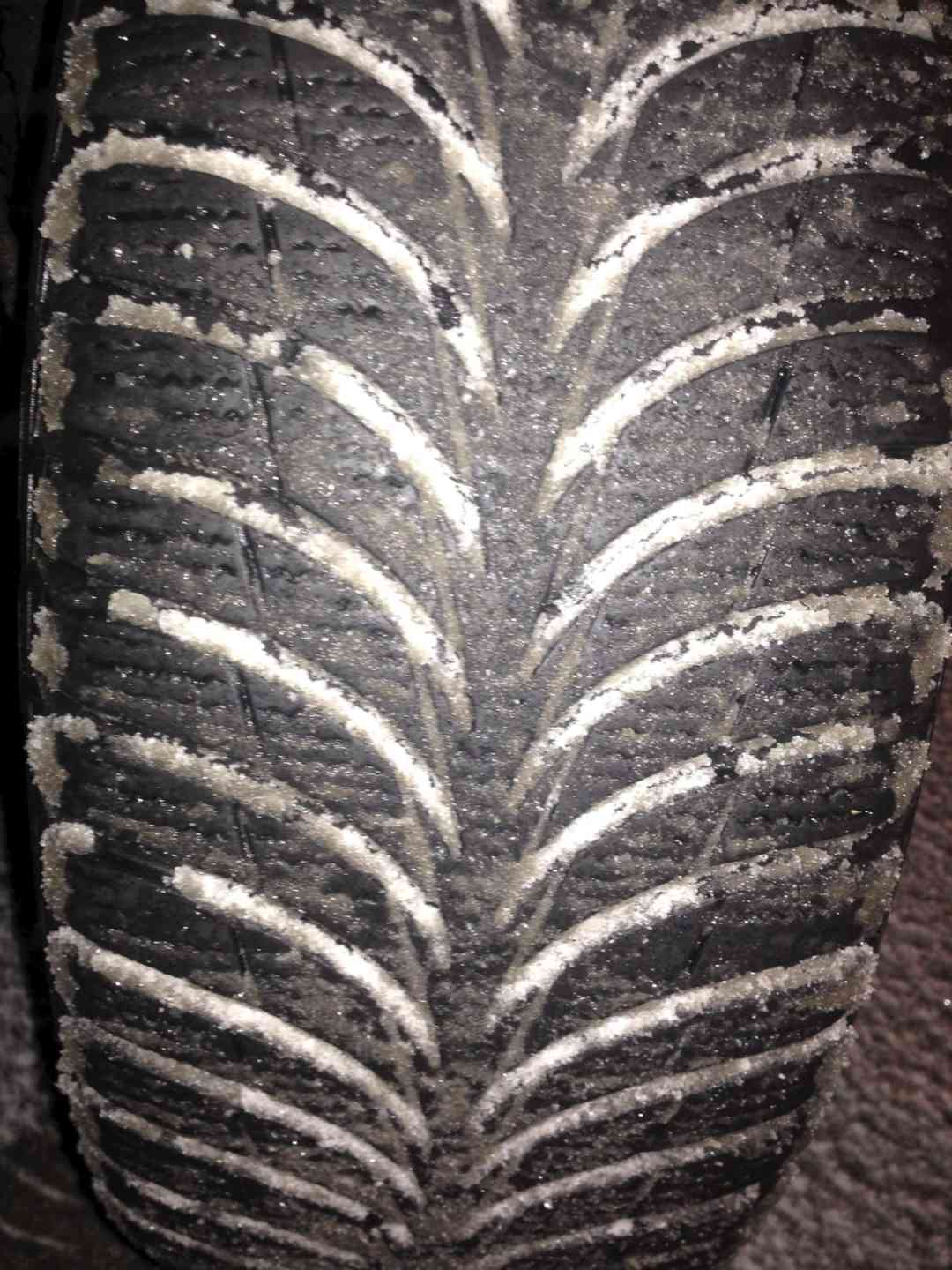 зимняя резина липучка фото протектора