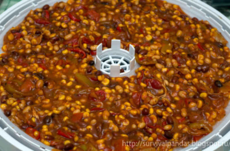 Заготовки к супу в сушке. Как высушить суп. Заготовка сушка продуктов. Борщ с роллами. Сушеные фрукты и овощи.