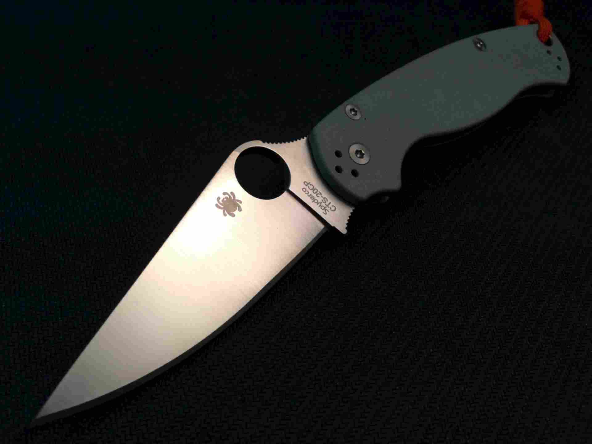 Spyderco Paramilitary 2 Купить