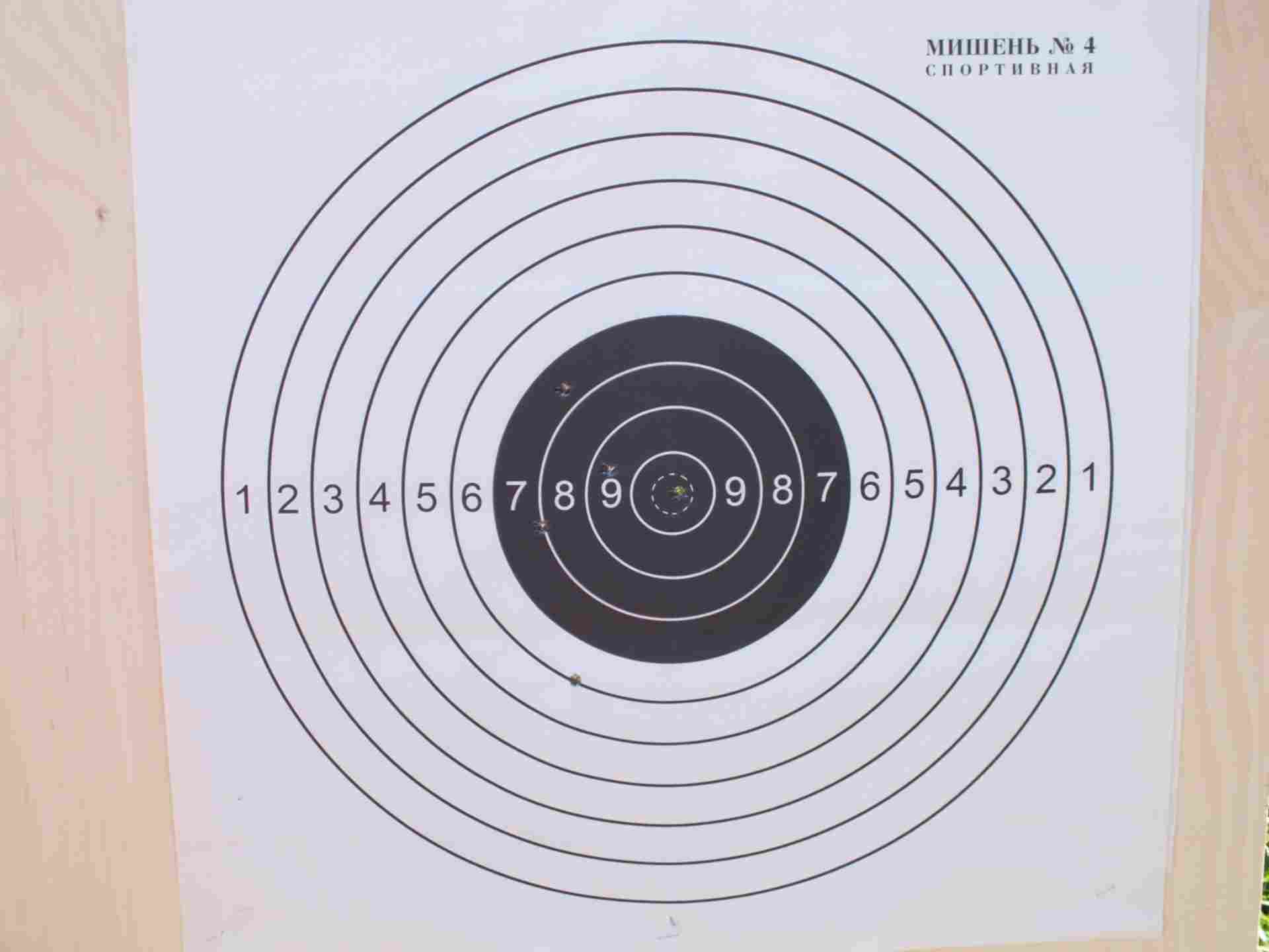 Мишень 4. Мишень для мелкокалиберной винтовки 50 метров. Мишень № 4 спортивная. Мишень для стрельбы из пистолета Макарова 10 метров. Грудная мишень 4.