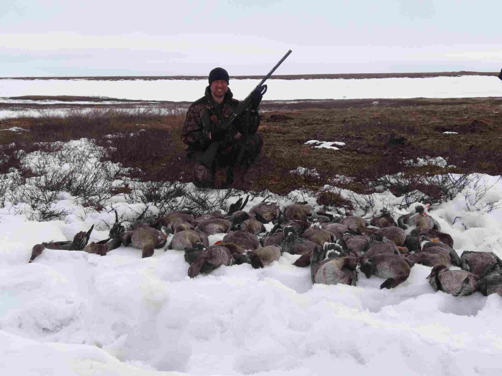 Охота и рыбалка на севере видео. Весенняя охота тундра. Канин тундра охота на гуся.