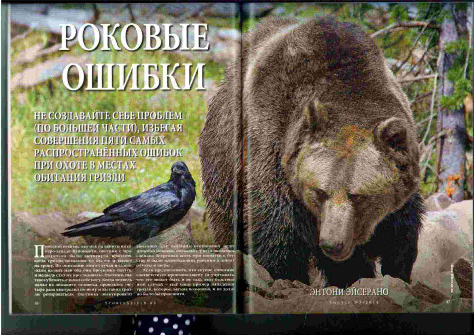 Свисток от медведя. Средства защиты от медведя. Средства для отпугивания медведей. Защита от медведя. Свисток для отпугивания медведей.