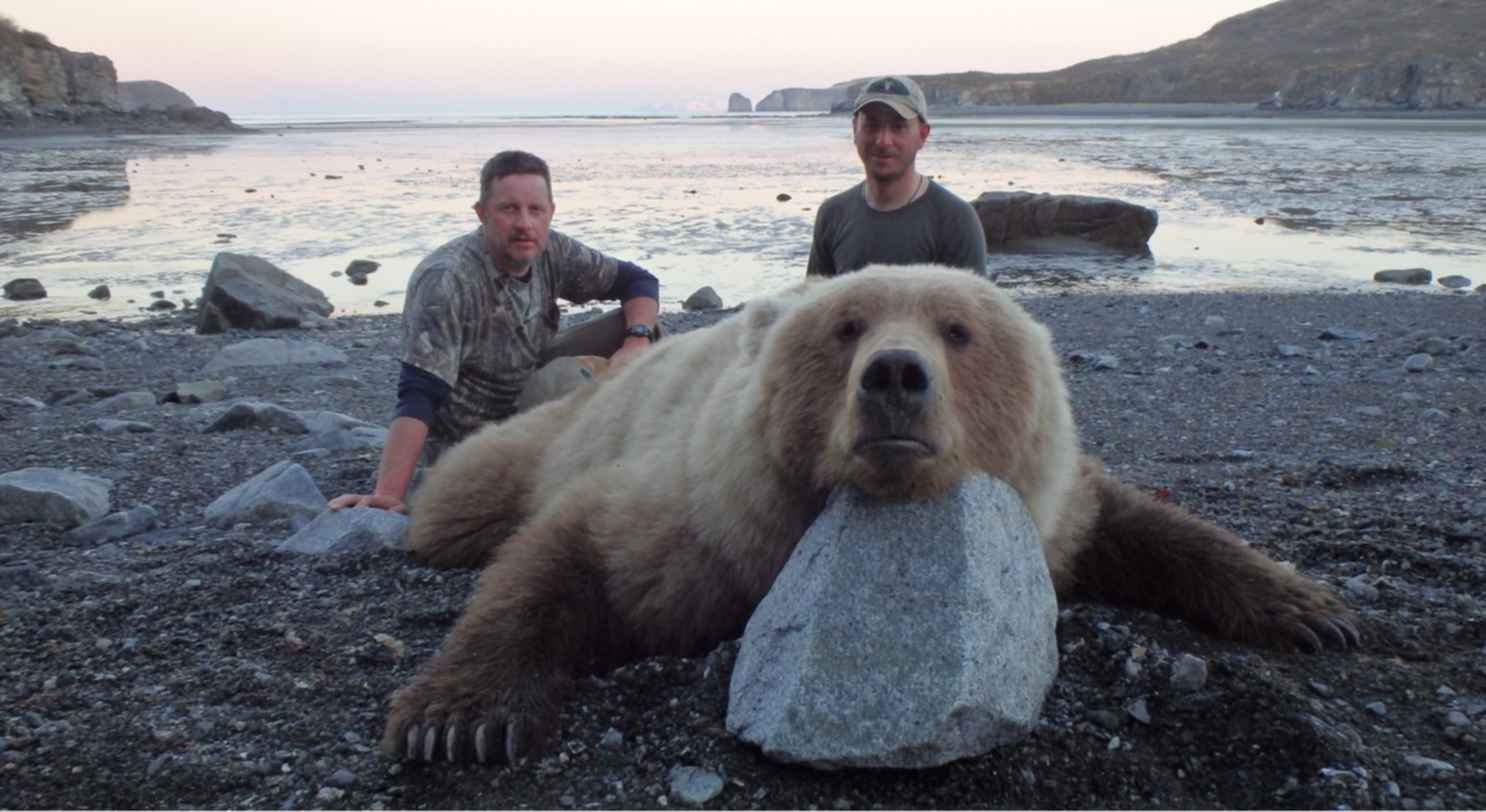 Хороший медведь видео. Бурый медведь Кольский полуостров. Кольский полуостров медведи. Охота на бурого медведя Чукотка.