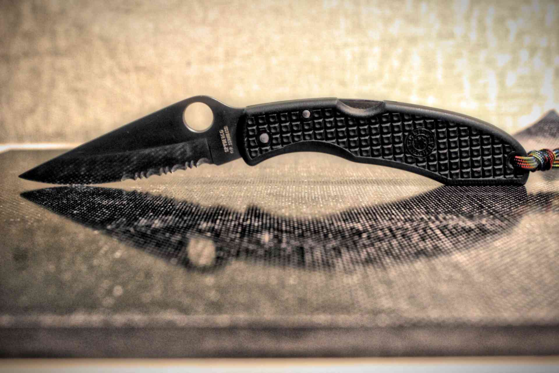 Spyderco endura