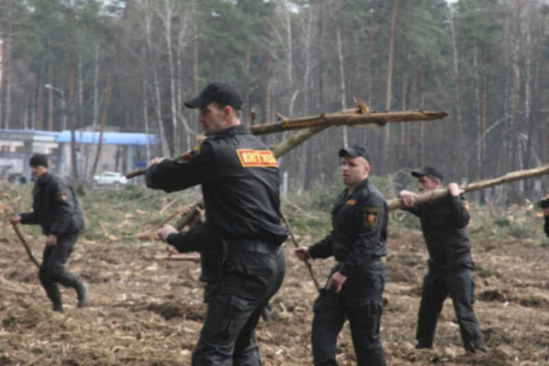 Витязь союз. Витязь охрана. Чоп Витязь Москва. Чоп Витязь Челябинск. Витязь охранное предприятие Челябинск.