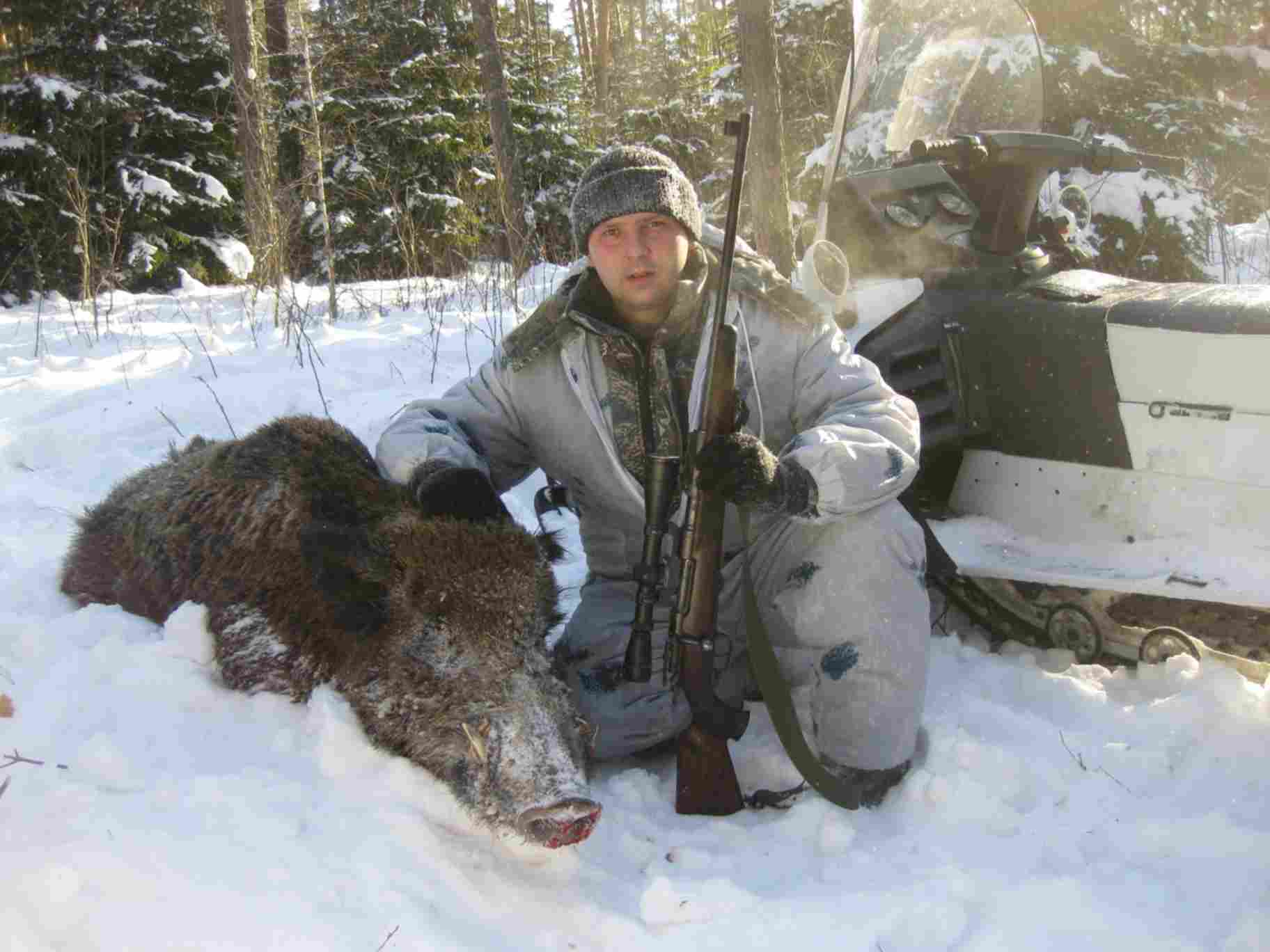 Стреляный зверь 3. Охота в Карелии охота на кабана. Охота кабана охота Кабанов. Охота на Кабанов в Карелии. Орлов "охота на медведя" 2008.
