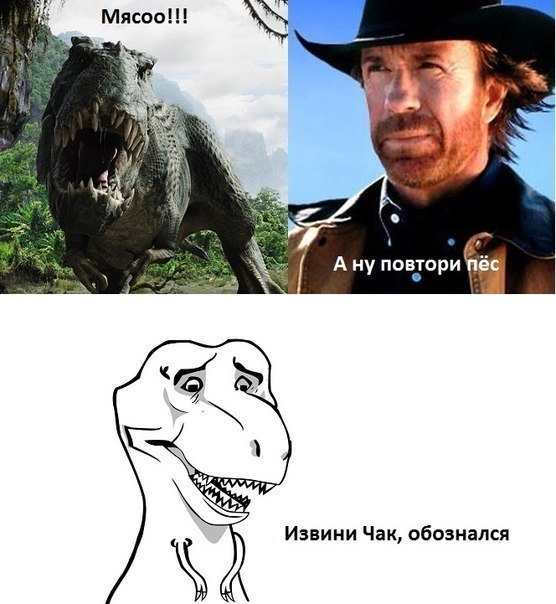 Смешные картинки про норриса