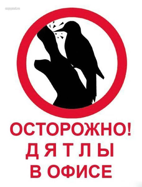 Женщина кулаком по столу. Кто не стучится тому не открывают. Стучи хватай. Женский кулак по столу. Таблички о соблюдении тишины.