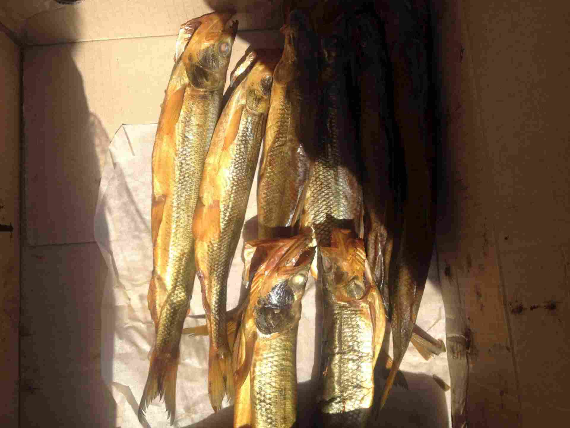 рыба из хабаровска в орске. живая и охлажденная рыба. рыба в мышкине. капуста в сетках на поддонах. продам свежую.