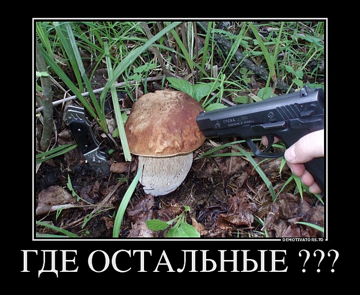 сделаем смешные картинки про грибы картинки нем можно