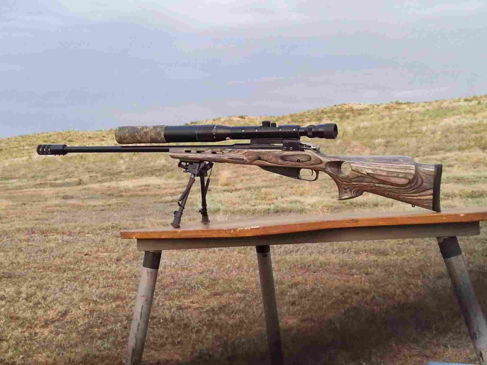 винтовка глазами