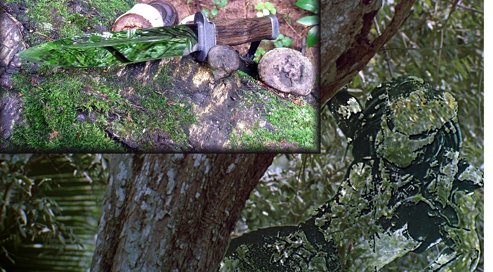 Оптический камуфляж. Фигурка хищника предатор джангл демон. Маскировка хищника. Предатор demon. Маскировка хищника.