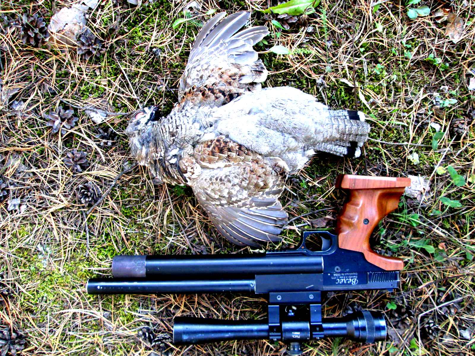 35 для охоты. охота с пневматикой 4. 5. охота с пневматикой. охота на фазана с воздушки.