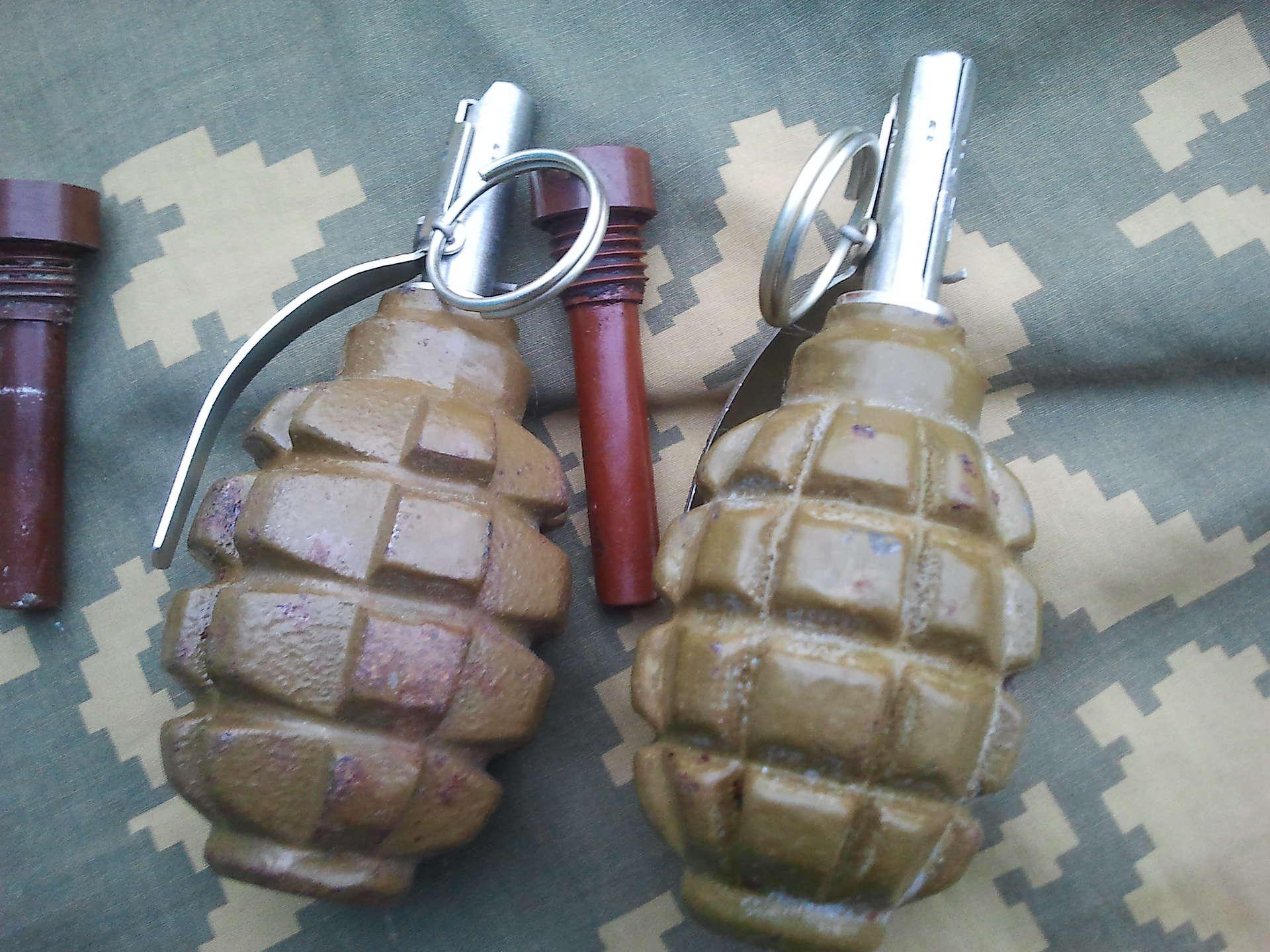 Гранаты ф1 и ргд. Ручная оборонительная граната ф-1. F1 граната раст. Граната ф1. Ф1 с запалом ковешникова.