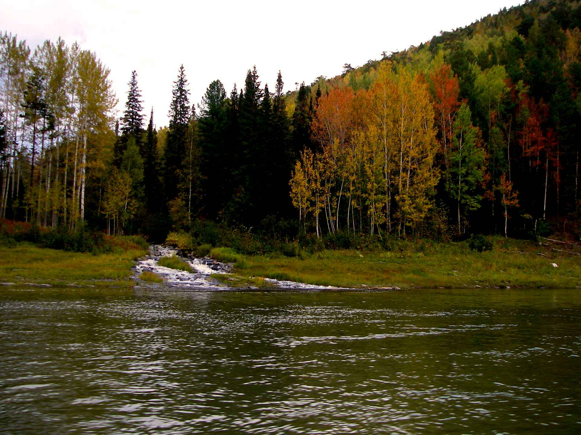 В к к реке б м. Река Енисей. Река большой пит Красноярский край. Пейзажи реки Енисей. Лес река плоскогорье.