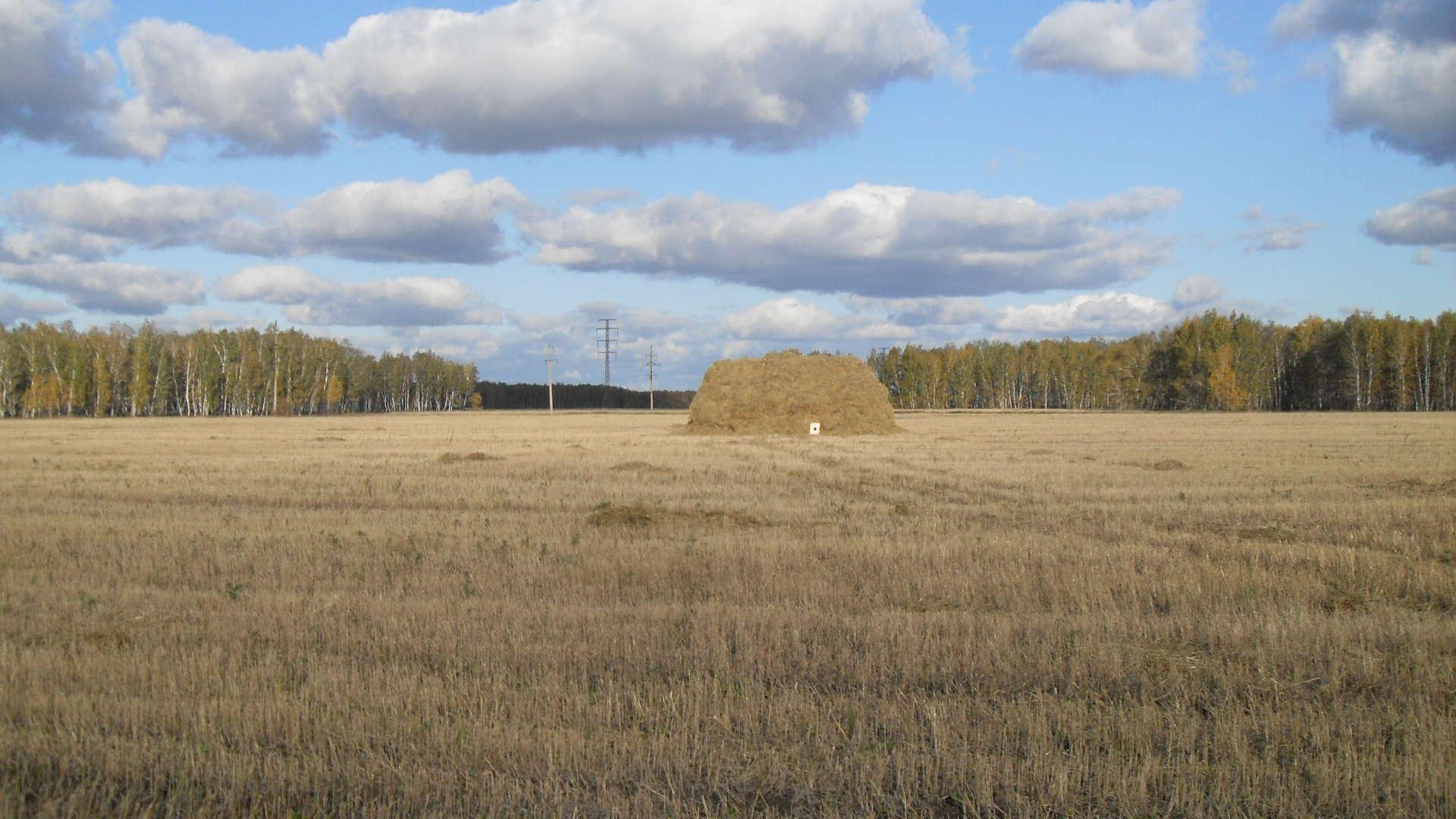 Хозяев поле