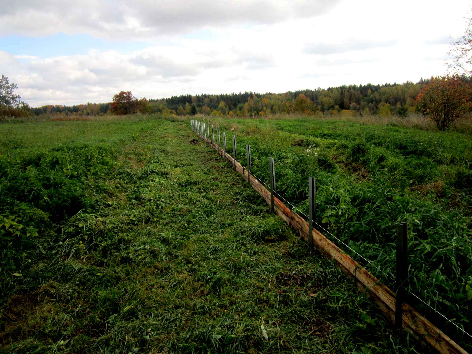 Переезд в деревню на пмж. Переезд в деревню на пмж