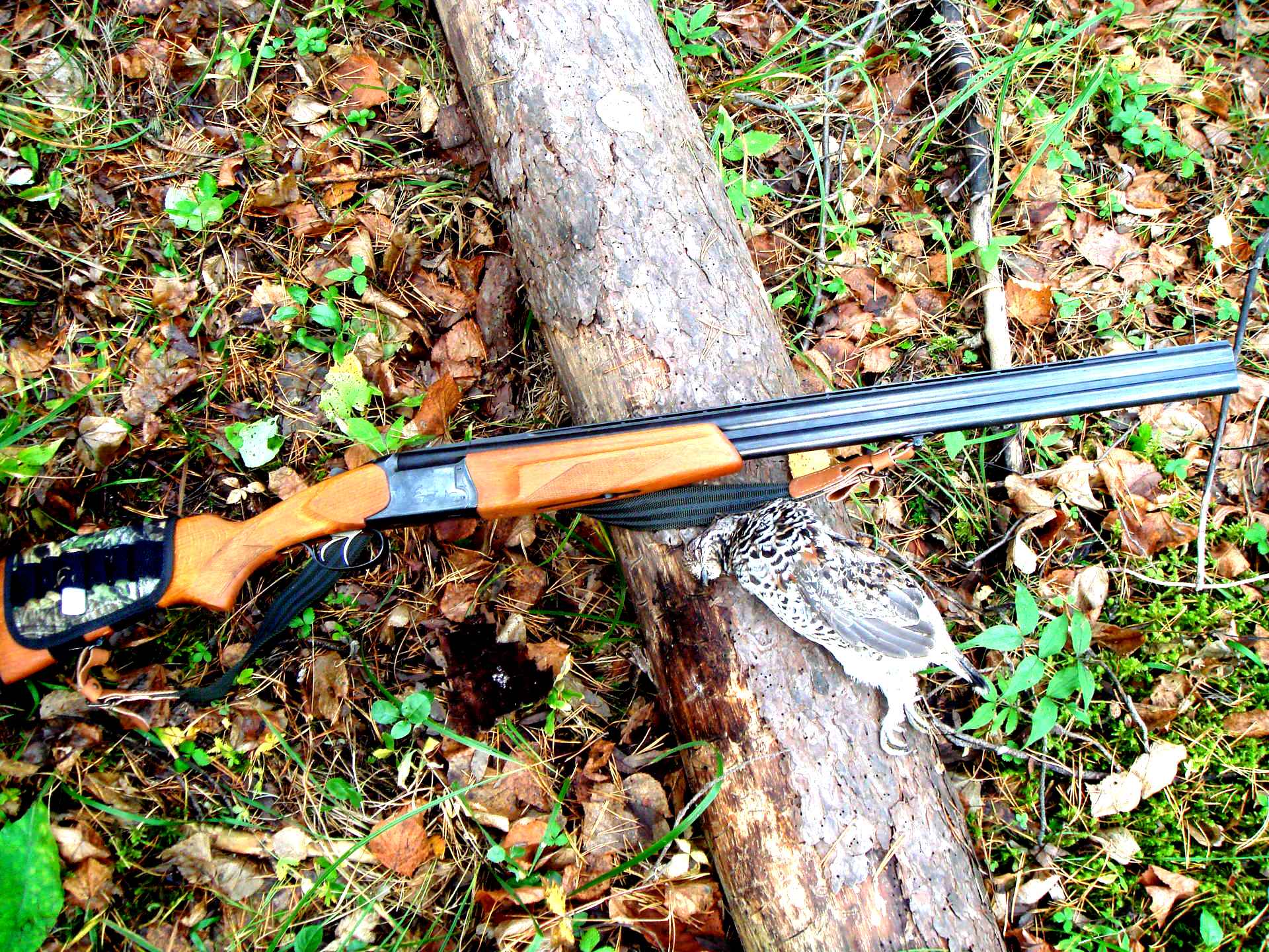 продам охотничьи. ножи глебова. Fabarm fp6. беретта, бенелли охотничье. ружье иж 27.