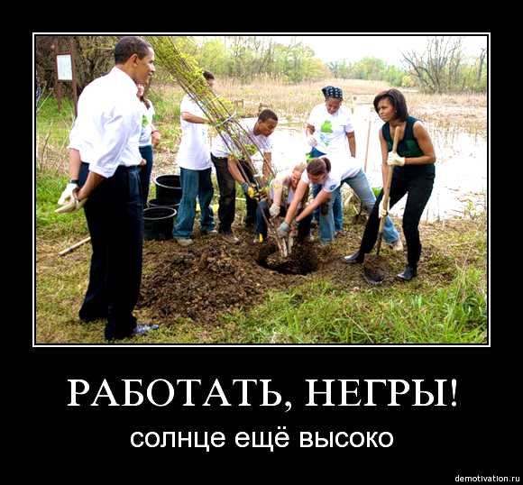 Мем солнце светит негры пашут скачать