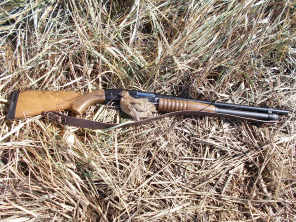 Бекас 3 Рп 16 3 Купить