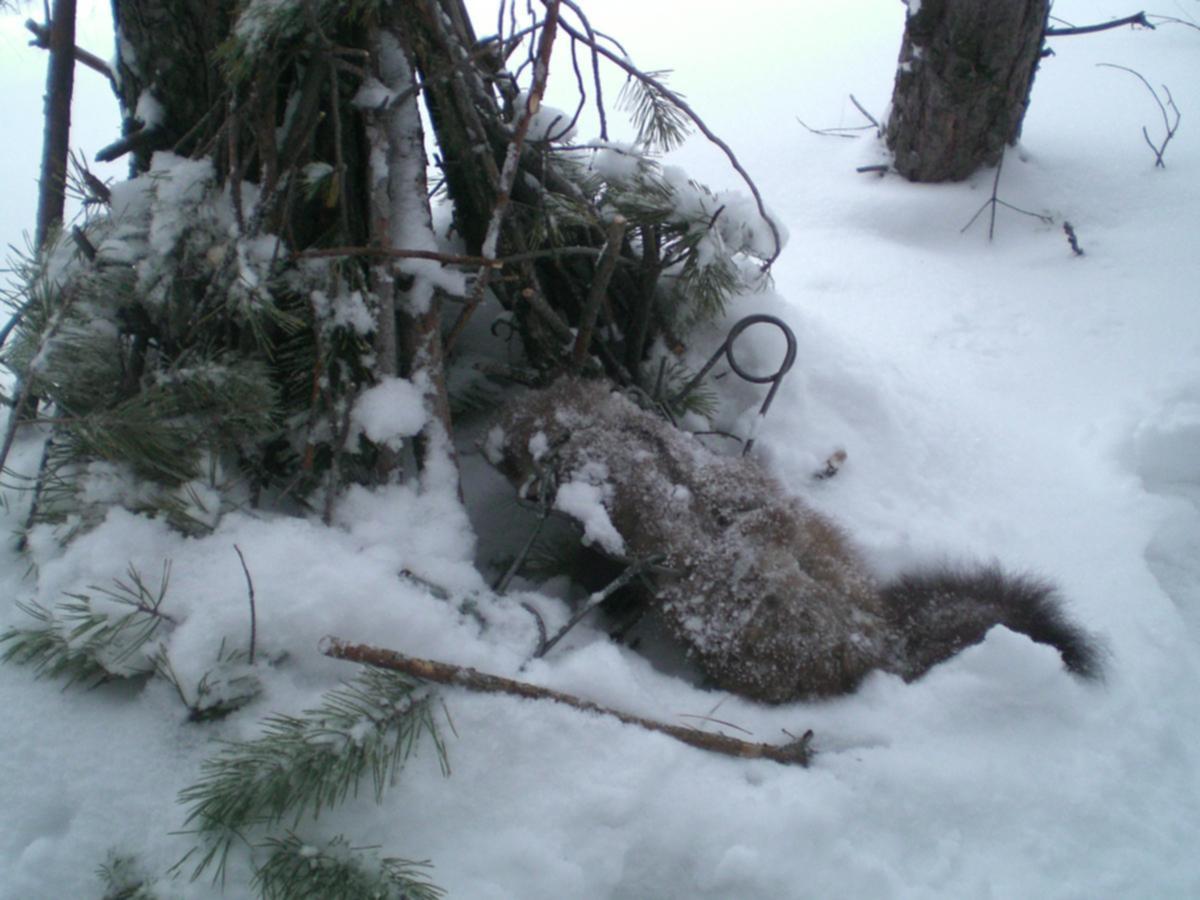 Капканы КД-140 и СД-140 успешно прошли полевые испытания - Якоря, вёсла, ледобур