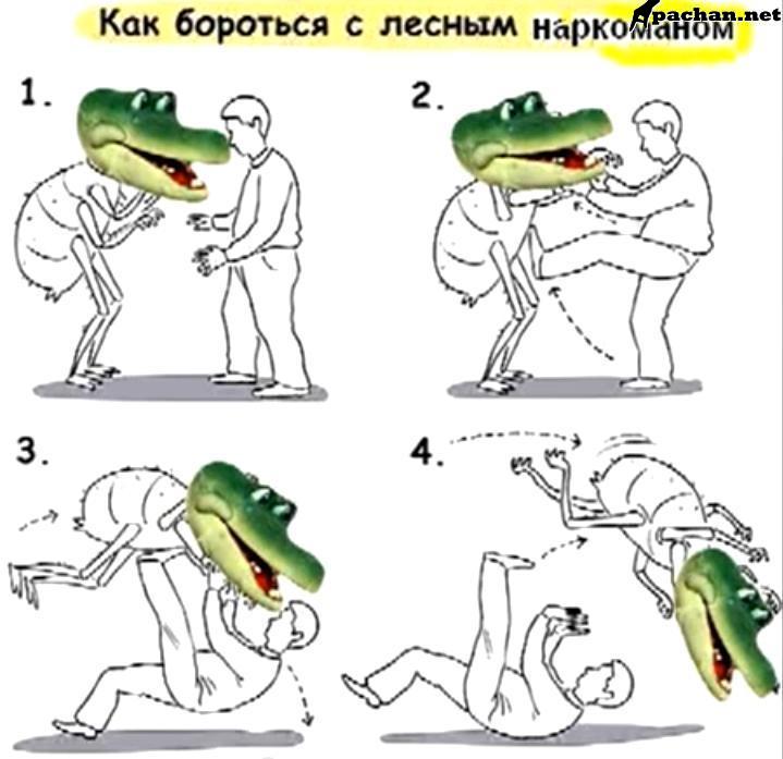 Как бороться с клещом картинка