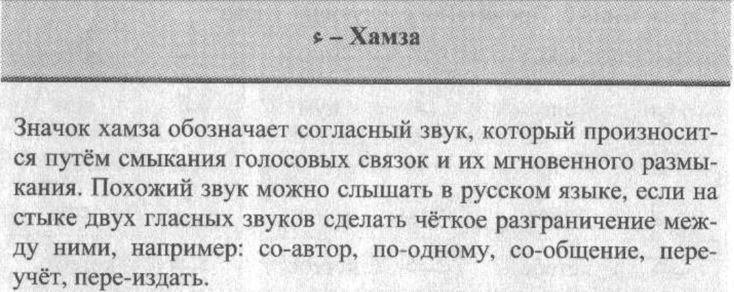 хамза картинки. что означает имя хамза. хамза (знак). хамза лев. хамза буква.