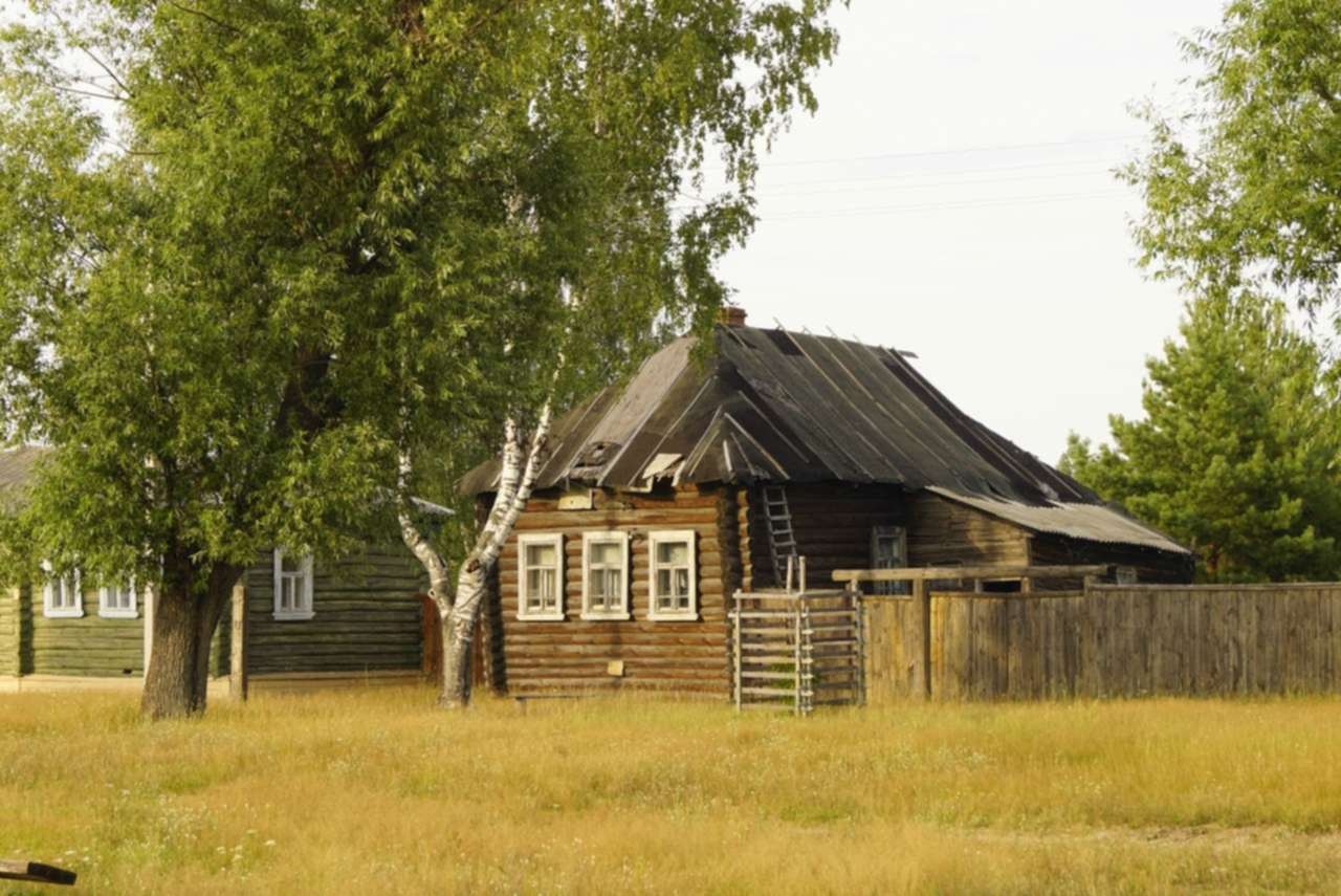 Фото Села Лесного