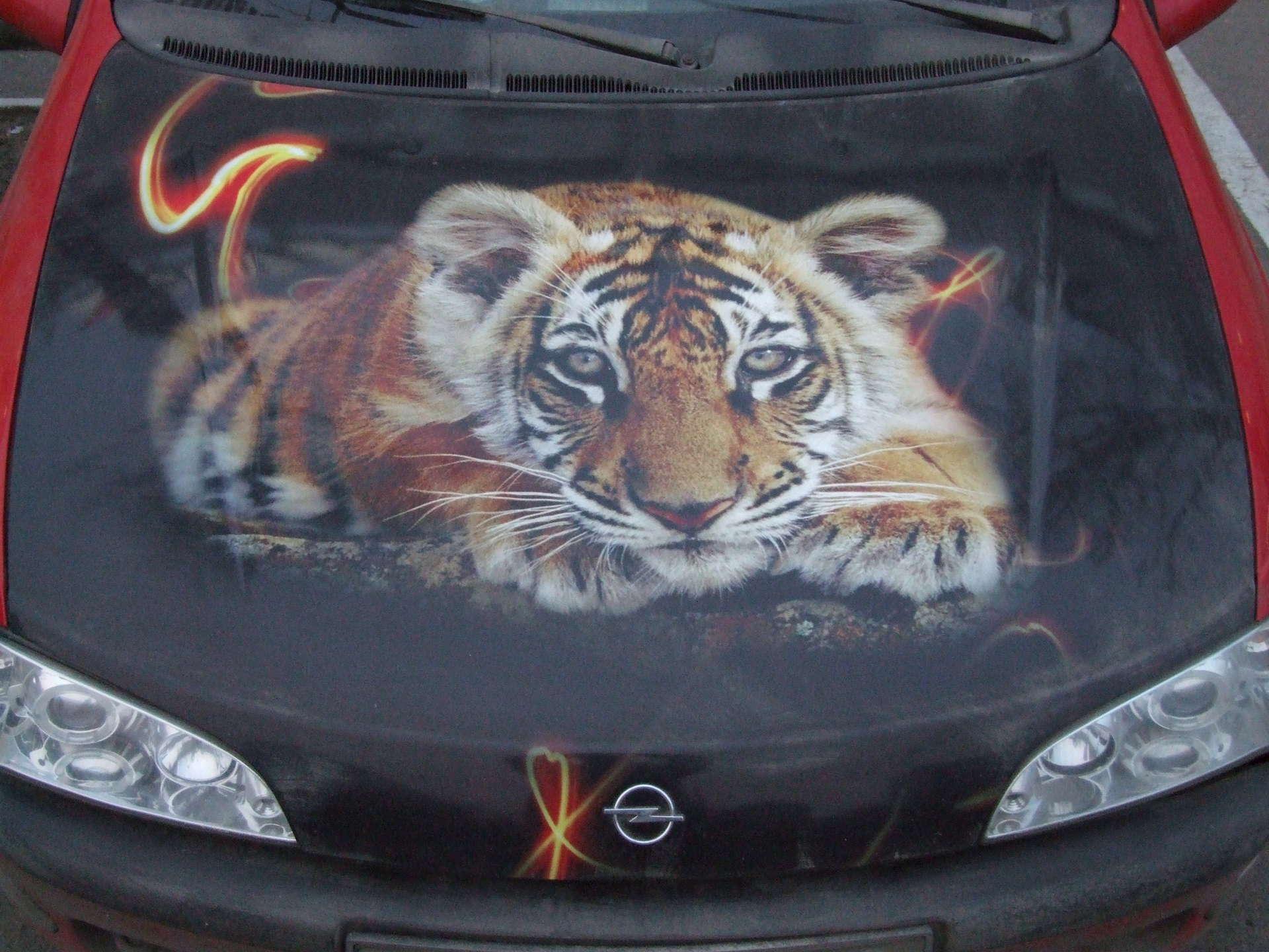Тигр машина