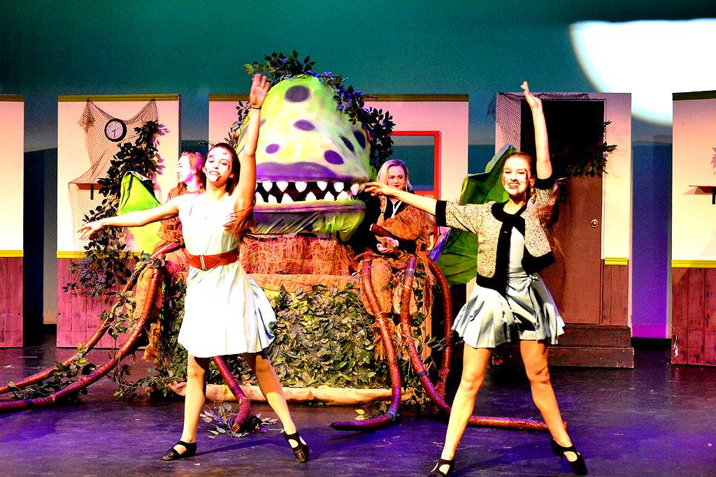 Магазинчик ужасов мюзикл. Мдм мюзикл. Мюзикл мдм 2017 год. Мюзикл ужасов. Юля дякина магазинчик ужасов.