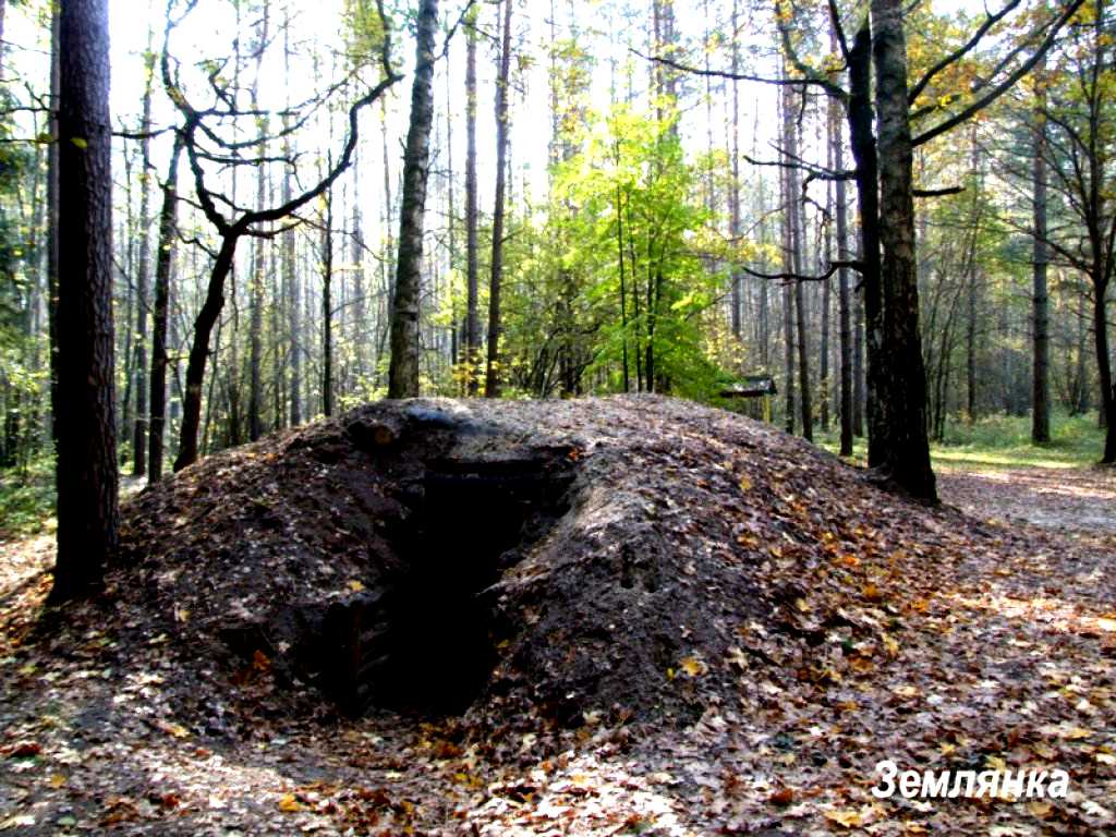 Бандеровские схроны фото