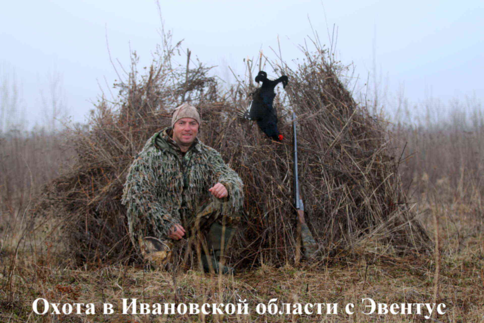 Периоды охоты. Охота в Ивановской области. Охота на глухаря в Ивановской области. Охота в Ивановской области 2022 Весна.