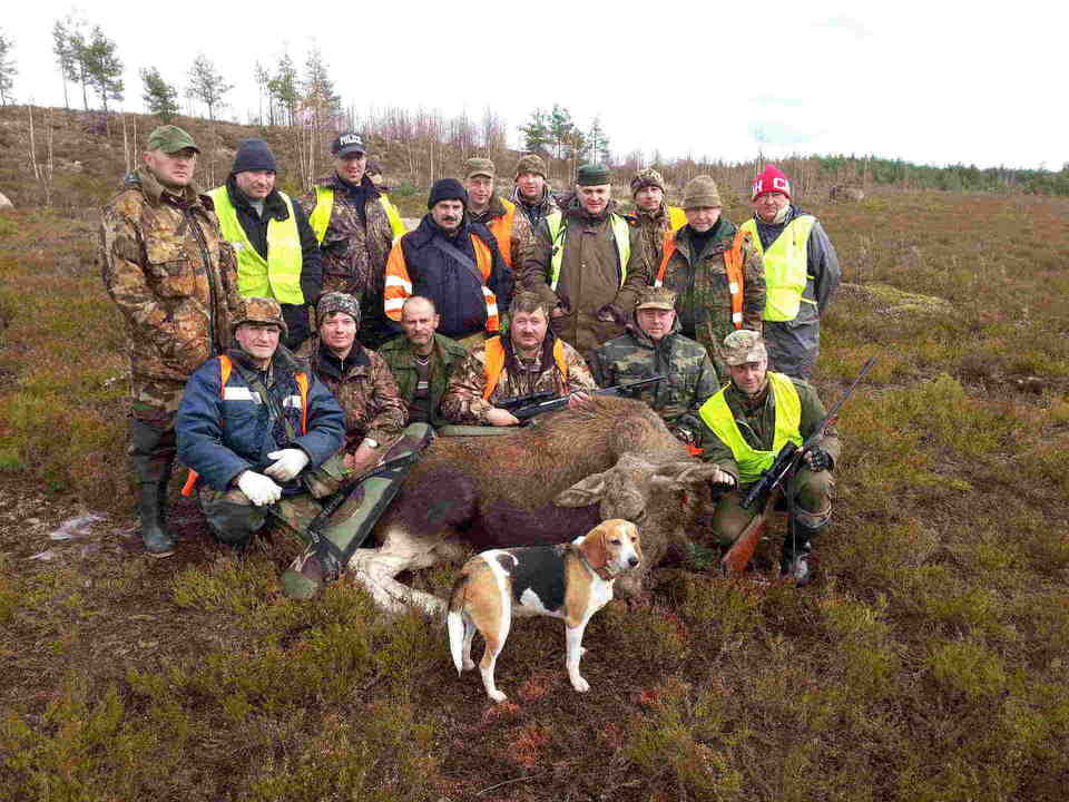 загонная охота 2023 год