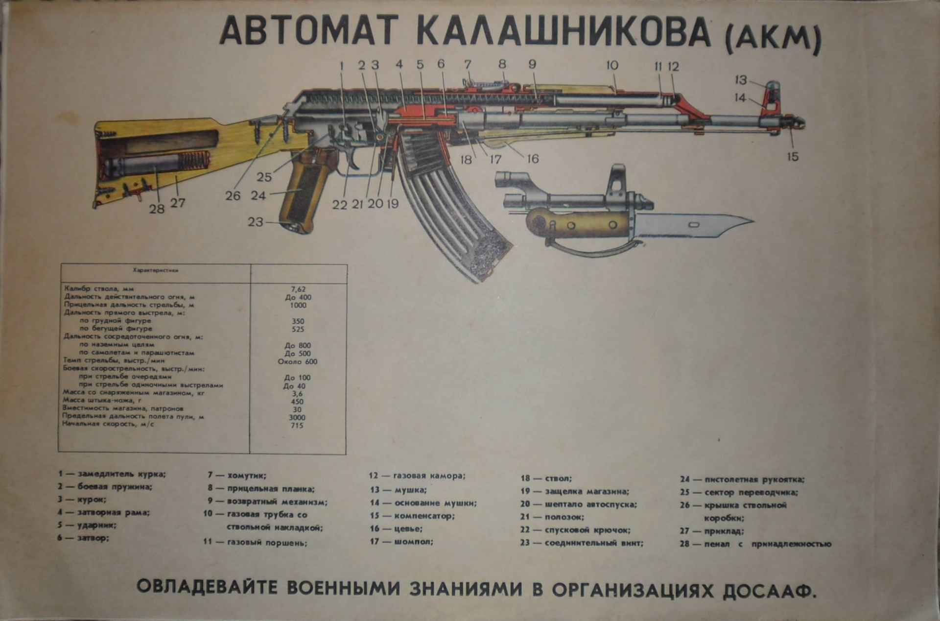 Основные элементы магазина ак отмеченные цифрами на рисунке