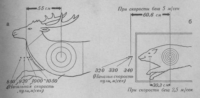 Скорость лося км ч