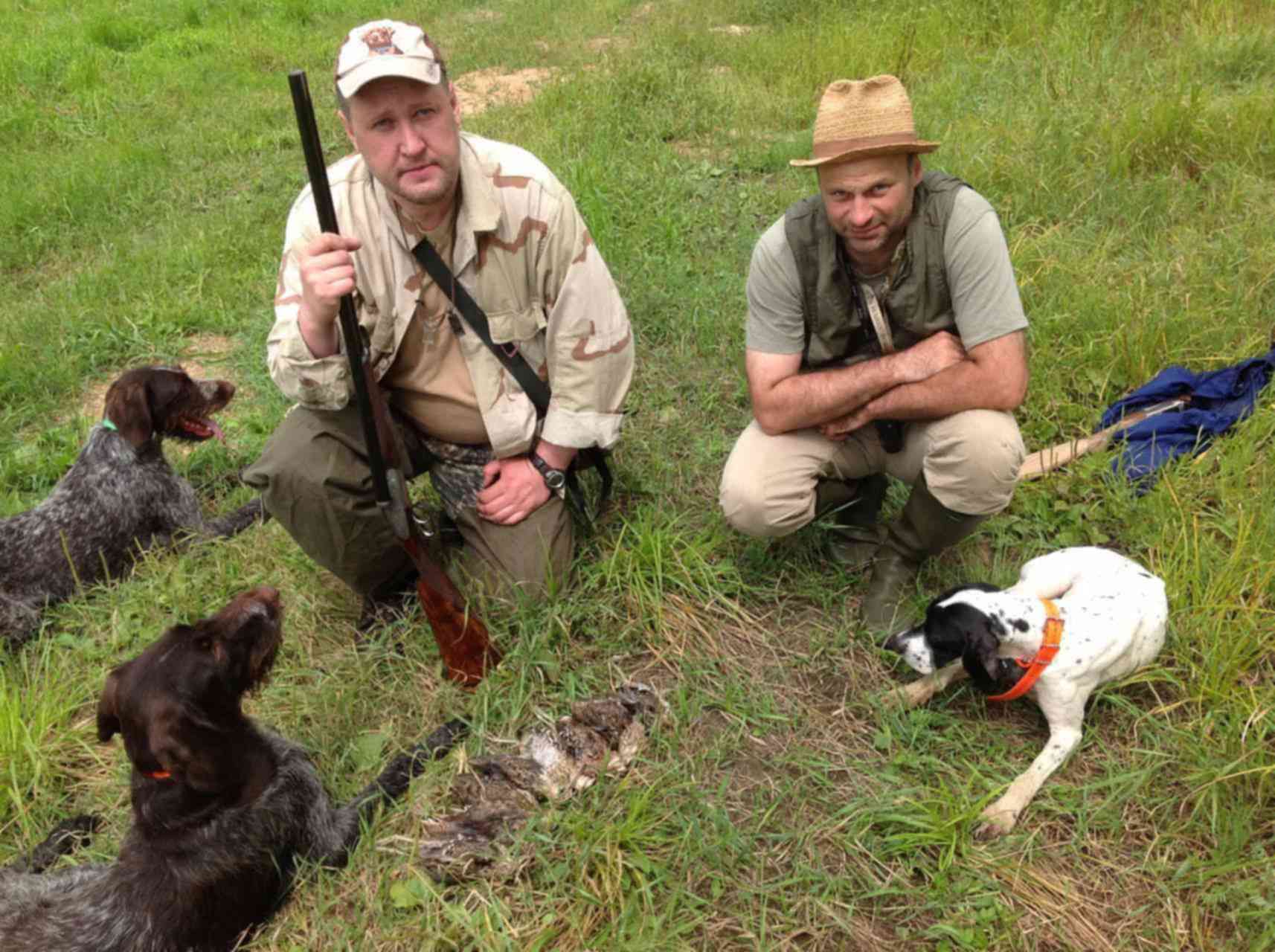 Купить Дратхаара Для Охоты На Авито