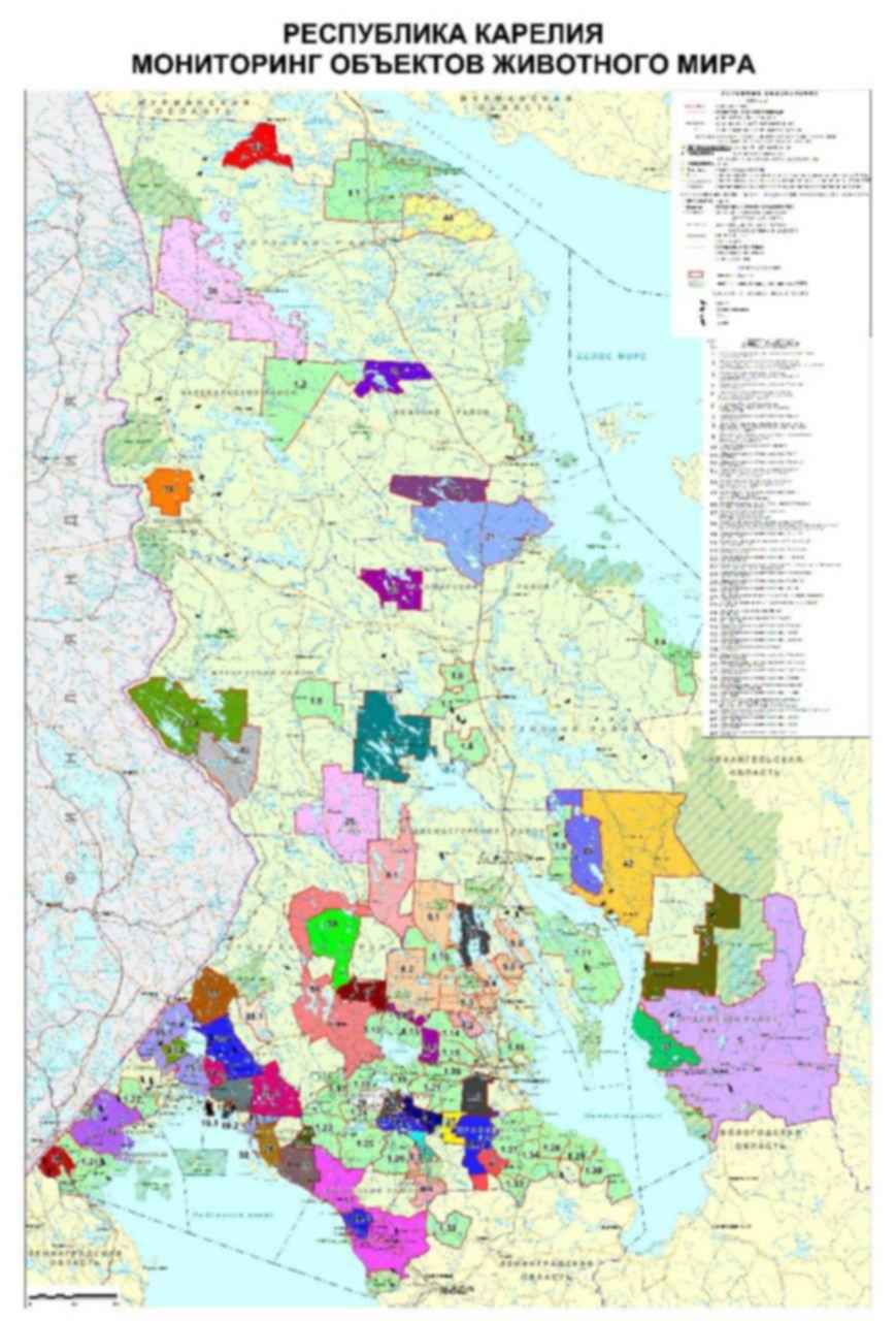 карта охотугодий карелии. охотхозяйство сыкандык челябинская область. охотугодья карелии карта. общедоступные охотничьи угодья кбр карта. охотничьи угодья карелии карта.