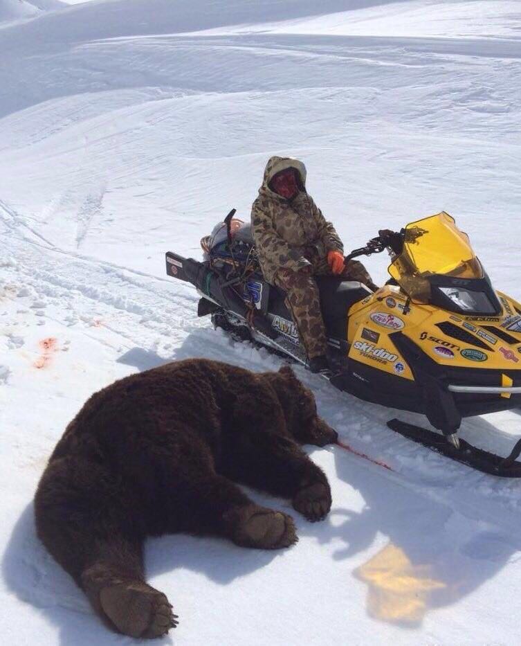 Охота на снегоходе