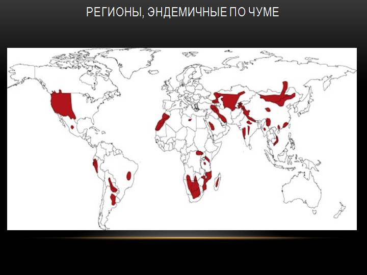 Резервуар чумы. Эндемичные районы по чуме. Чума эндемичные районы.