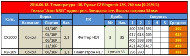 Сокол в 12 калибре