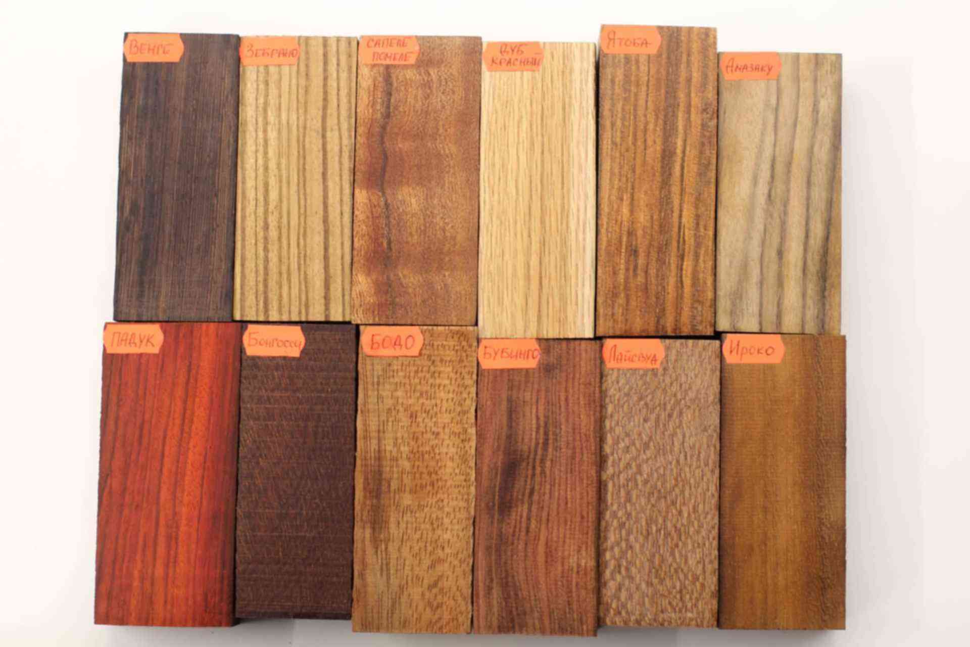 светлые породы древесины