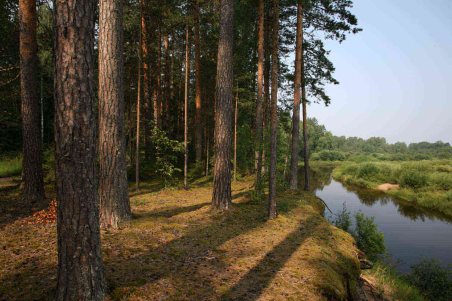 река медведица жирновск